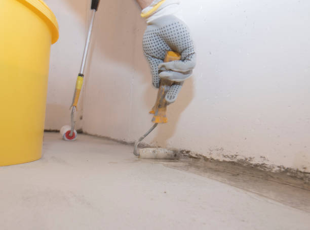 Best Termite Inspection and Treatment  in Glen Allen, VA